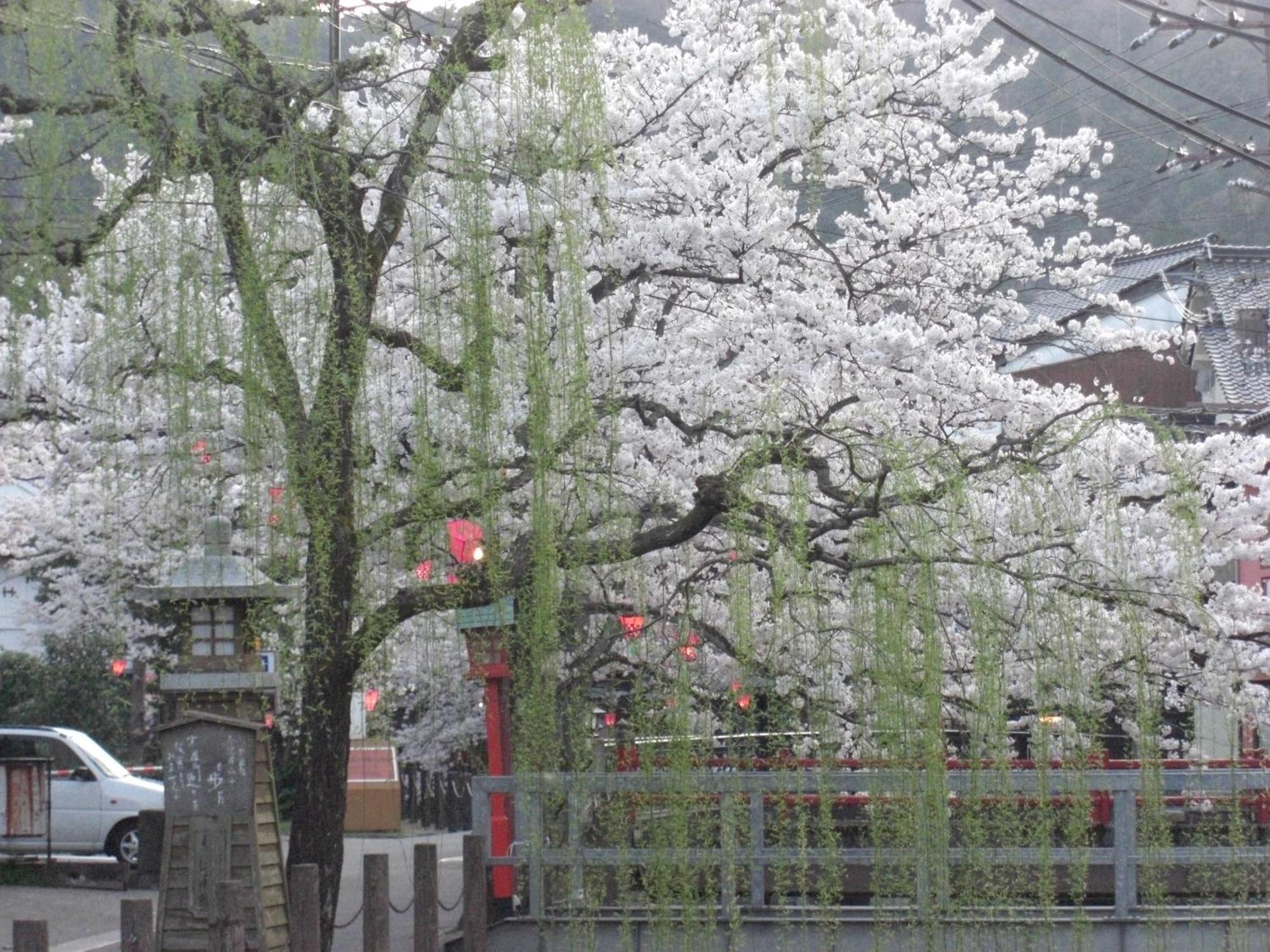 Ryokan Matsuya Toyooka  Exterior foto